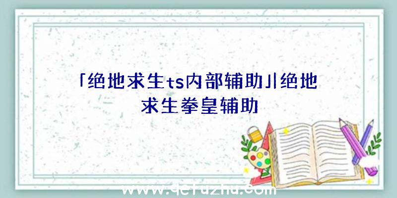 「绝地求生ts内部辅助」|绝地求生拳皇辅助